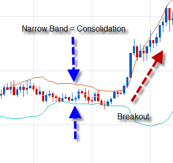 forex/stock/gold/oil trading